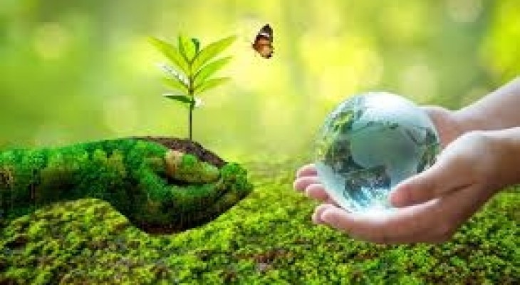 সমন্বিত বালাই ব্যবস্থাপনা